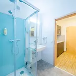 Nuernberger Hof 德尔奥博的新市场